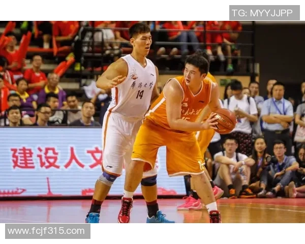 李静专访：深入探讨篮球成功背后的秘诀与心路历程